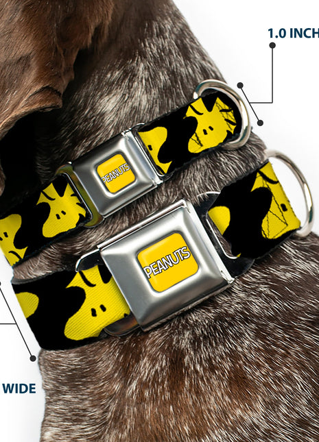 PEANUTS Title Logo Full Color Yellow/White Seatbelt Buckle Collar - Peanuts Woodstock Face Flip Black/Yellow