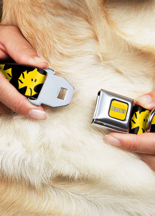 PEANUTS Title Logo Full Color Yellow/White Seatbelt Buckle Collar - Peanuts Woodstock Face Flip Black/Yellow