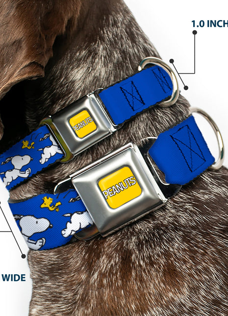 PEANUTS Title Logo Full Color Yellow/White Seatbelt Buckle Collar - Peanuts Snoopy Running and Woodstock Pose Blue