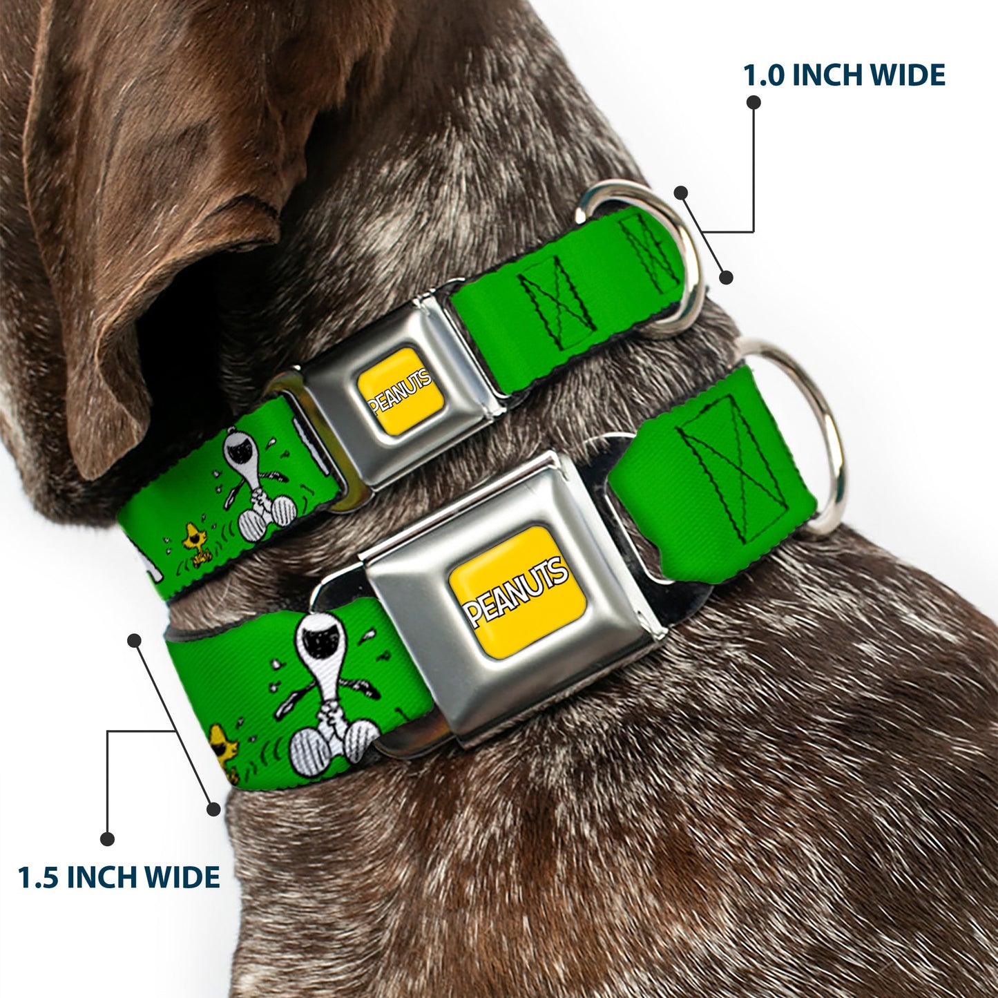 PEANUTS Title Logo Full Color Yellow/White Seatbelt Buckle Collar - Peanuts Snoopy and Woodstock Laughing HAHA Pose Green