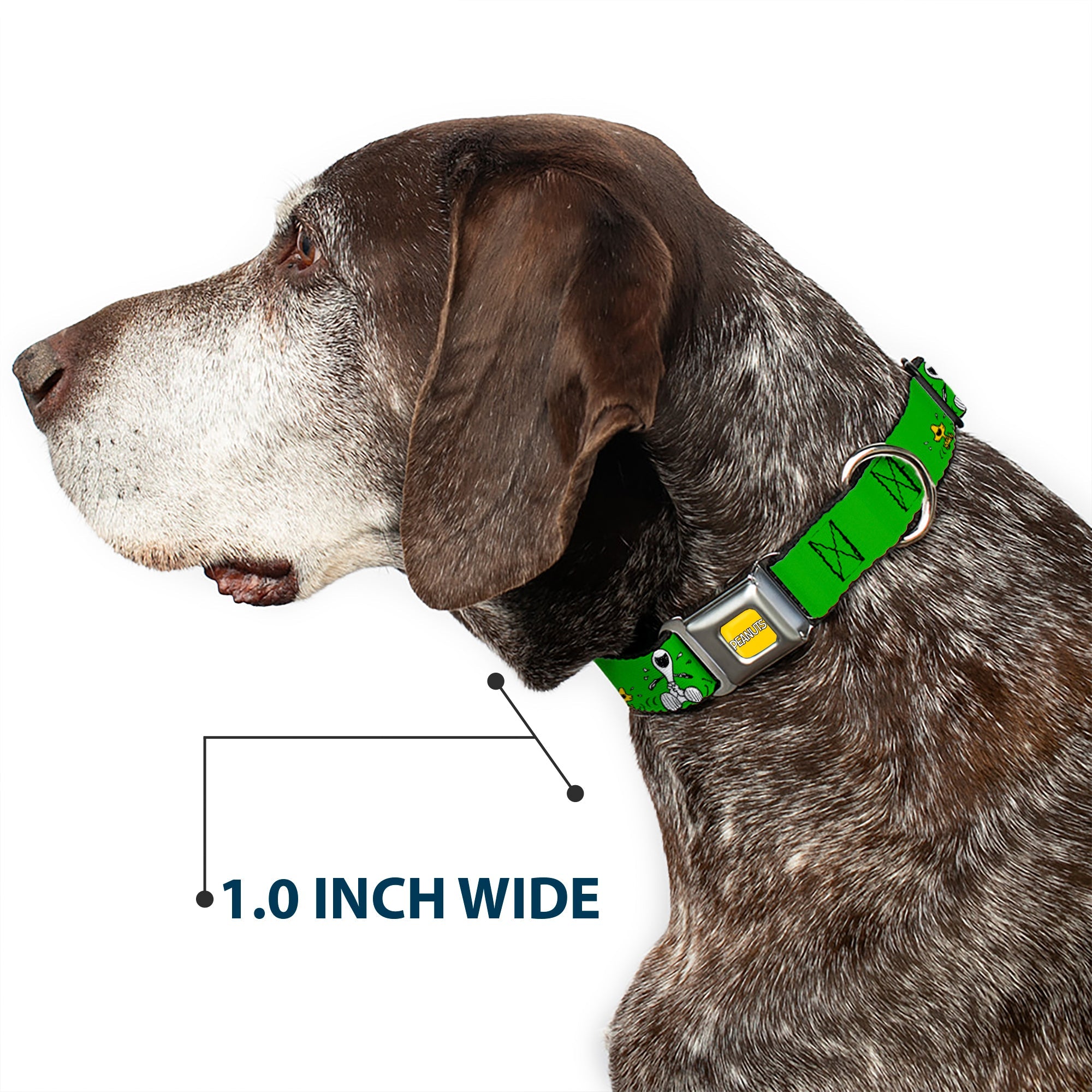 PEANUTS Title Logo Full Color Yellow/White Seatbelt Buckle Collar - Peanuts Snoopy and Woodstock Laughing HAHA Pose Green