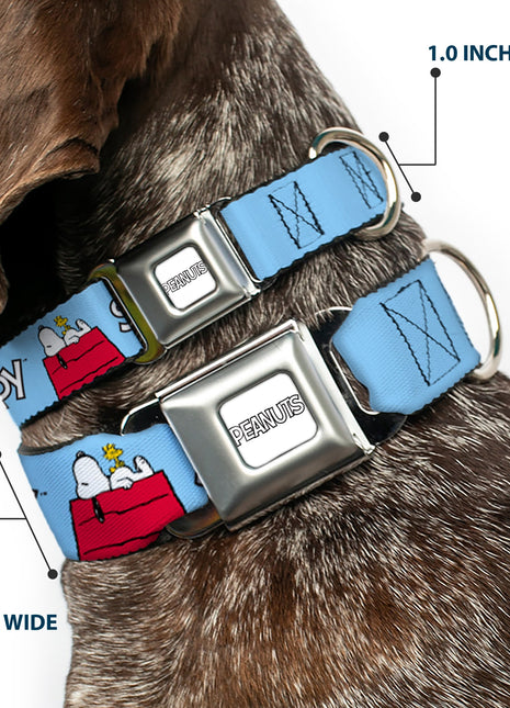PEANUTS Title Logo Full Color Gray/White Seatbelt Buckle Collar - Peanuts Snoopy and Woodstock Dog House Pose and Text Sky Blue
