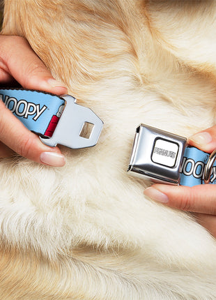 PEANUTS Title Logo Full Color Gray/White Seatbelt Buckle Collar - Peanuts Snoopy and Woodstock Dog House Pose and Text Sky Blue