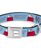 PEANUTS Title Logo Full Color Gray/White Seatbelt Buckle Collar - Peanuts Snoopy and Woodstock Dog House Pose and Text Sky Blue