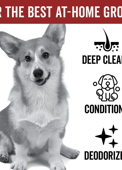 DOGDAYS Moisturizing Dog Conditioner