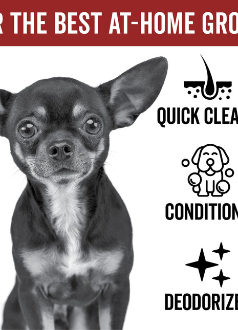 DOGDAYS Waterless Foaming Shampoo