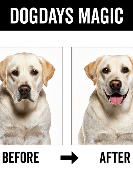 DOGDAYS Dog Deodorizing Spray