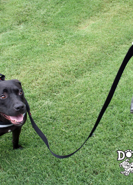 Doggie Did Hands-Free Waste Carrier