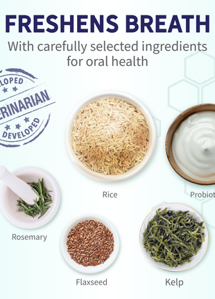 Probiotic Dental Bones
