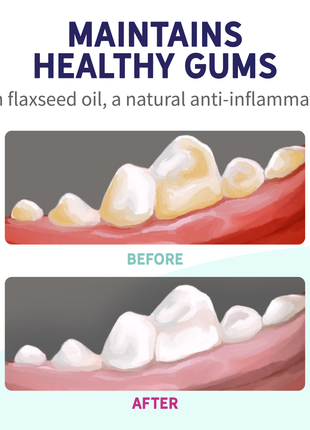 Probiotic Dental Bones
