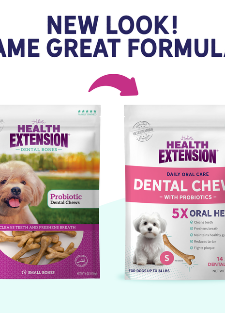 Probiotic Dental Bones