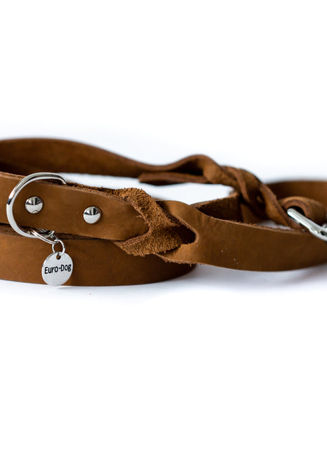 Leather Braided Dog Leash
