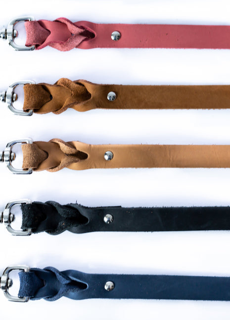 Leather Braided Dog Leash