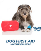 Ultimate Dog First Aid Online Bundle, 10 Certificate Courses