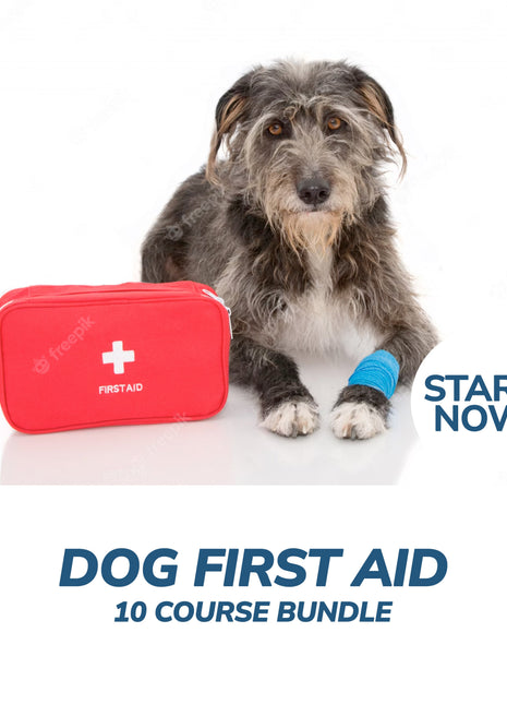 Ultimate Dog First Aid Online Bundle, 10 Certificate Courses