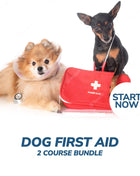 Dog First Aid Online Bundle, 2 Certificate Courses