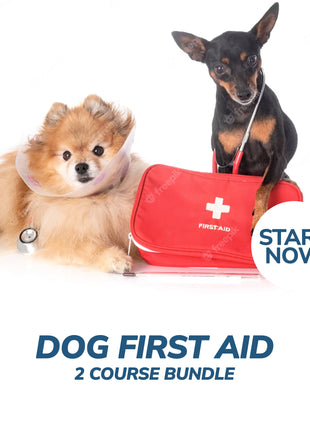 Dog First Aid Online Bundle, 2 Certificate Courses