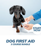 Dog First Aid Online Bundle, 3 Certificate Courses