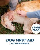 Dog First Aid Online Bundle, 5 Certificate Courses
