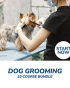 Ultimate Dog Grooming Online Bundle, 10 Certificate Courses