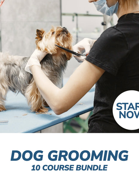 Ultimate Dog Grooming Online Bundle, 10 Certificate Courses