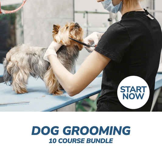 Ultimate Dog Grooming Online Bundle, 10 Certificate Courses