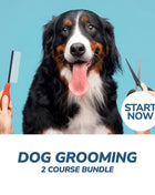 Dog Grooming Professional Online Bundle, 2 Certificate Courses