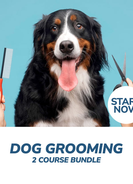 Dog Grooming Professional Online Bundle, 2 Certificate Courses