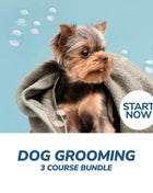 Dog Grooming Professional Online Bundle, 3 Certificate Courses