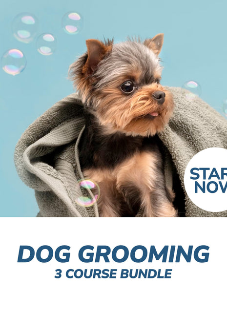Dog Grooming Professional Online Bundle, 3 Certificate Courses