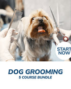 Dog Grooming Professional Online Bundle, 5 Certificate Courses