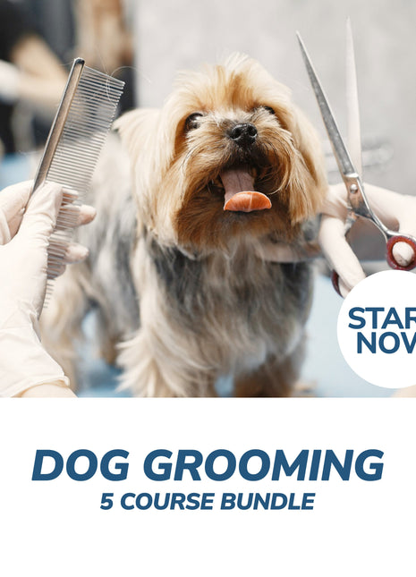 Dog Grooming Professional Online Bundle, 5 Certificate Courses