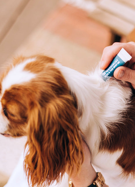 Flea & Tick Spot On for Dogs + Cats with Natural Essential Oils