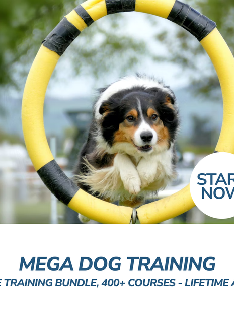 Mega Dog Training Online Training Bundle, 400+ Courses - Lifetime Access