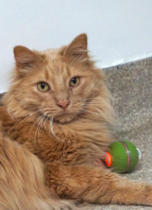HuggleKats® PlayKat® Interactive Cat Toy - Pup List