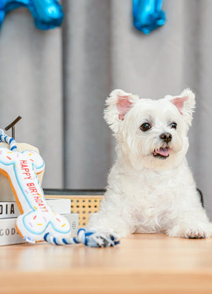 BIRTHDAY BONE