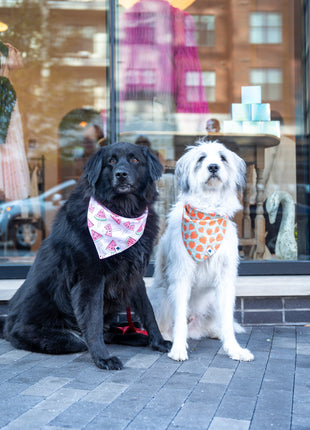 Watermelon & Strawberry Dog Bandana