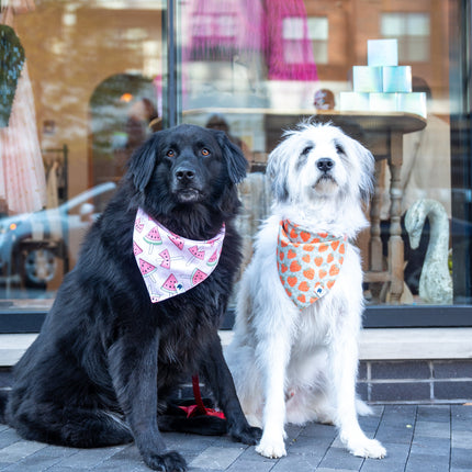 Watermelon & Strawberry Dog Bandana