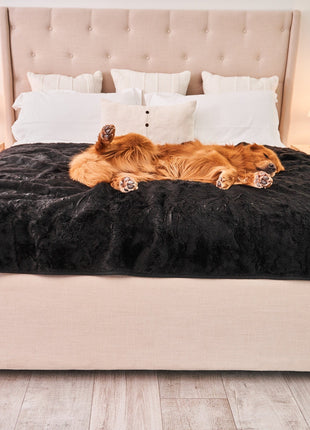 PupProtector™ Short Fur Waterproof Throw Blanket - Midnight Black