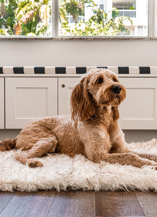 PupRug by Paw.com® Portable Orthopedic Dog Bed - White with Brown Accents