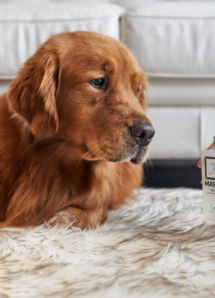 Marlie Mist Pet Odor Eliminator Spray with Essential Oils