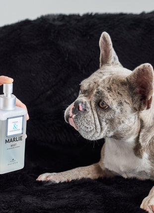 Marlie Mist Pet Odor Eliminator Spray with Essential Oils