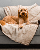 PupProtector™ Short Fur Waterproof Throw Blanket - White with Brown Accents