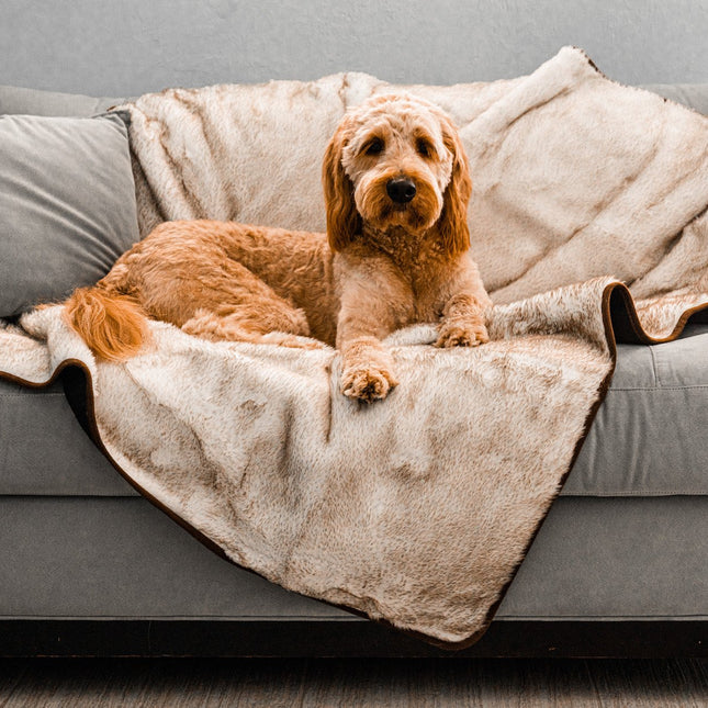 PupProtector™ Summer Short Fur Waterproof Throw Blanket - White with Brown Accents
