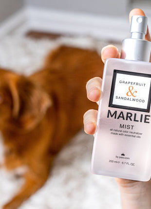 Marlie Mist Pet Odor Eliminator with Essential Oils (3-pack)