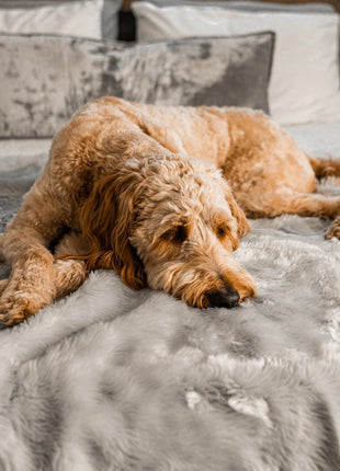 PupProtector™ Short Fur Waterproof Throw Blanket - Grey