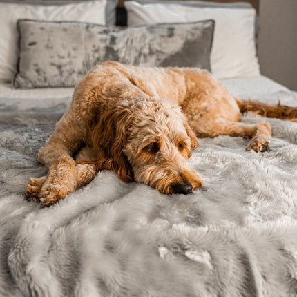 PupProtector™ Summer Short Fur Waterproof Throw Blanket - Grey