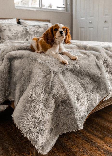 PupProtector™ Summer Short Fur Waterproof Throw Blanket - Grey