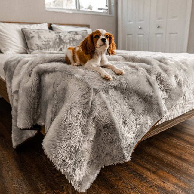 PupProtector™ Summer Short Fur Waterproof Throw Blanket - Grey