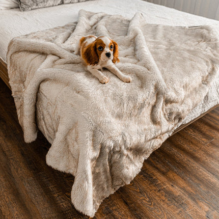 PupProtector™ Summer Short Fur Waterproof Throw Blanket - White with Brown Accents